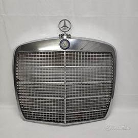 Mascherina frontale calandra Mercedes 250 280