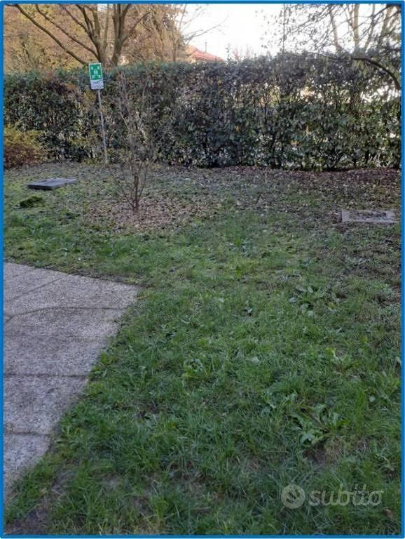 Appartamento – Treviso, Selvana - Vista 4