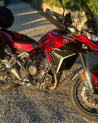 Triumph Tiger 900 GT Pro