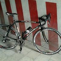Pinarello Treviso professionale, da 28