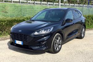 Ford Kuga 2.0 EcoBlue 120 CV Automatico ST-Line