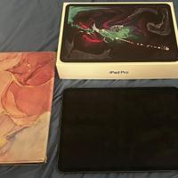 IPAD PRO 11 ( wi-fi 256 GB )
