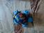 Immagine 2