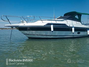 Regal ambassador 25,5 XL