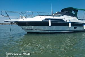 Regal ambassador 25,5 XL