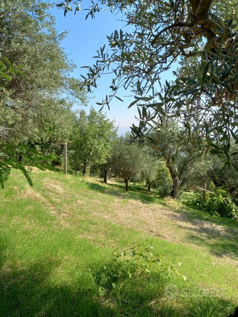 Terreno agricolo - Vista 3