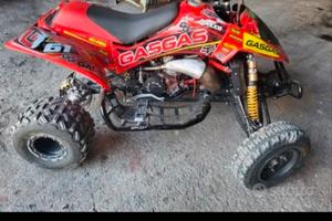 Gas gas wild 300hp 2t