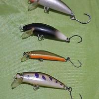 Minnow trota torrente