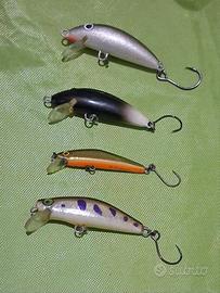 Minnow trota torrente