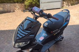 smembro scooter Peugeot Speedfight 