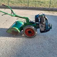 giardinaggio fai da te 