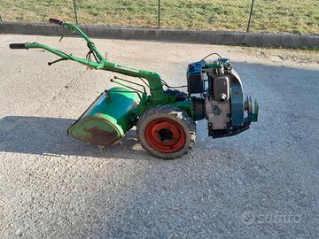 giardinaggio fai da te 