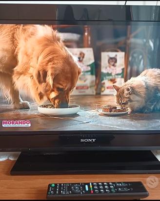 TV Sony 26"