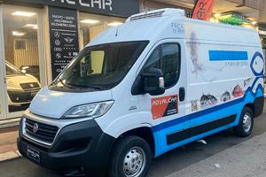 Fiat Ducato Frigo
