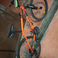 MTB bambino 24"