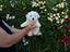 Immagine 1