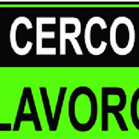 Autista con patente B o altro