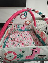 Palestrina neonata/o