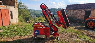 Braccio decespugliatore Frontoni Fox P 450