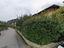Immagine 24