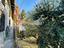 Immagine 12