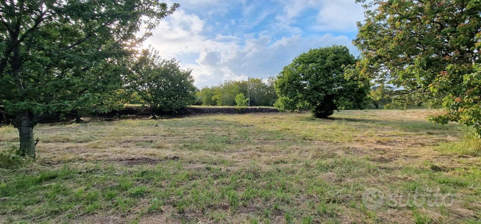 Rustico con uliveto e vigneto a Piedimonte Etneo - Vista 5