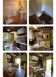 Appartamento erbe aromatiche