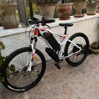 ebike 2000w