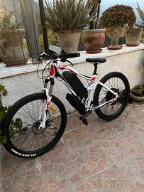 ebike 2000w