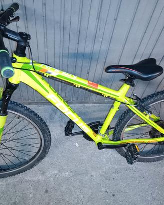 bici MTB Focus 