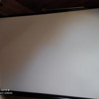 Schermo da proiezione