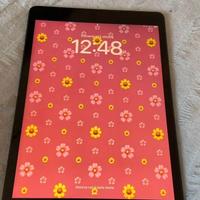 Ipad 9 generazione 10.2 pollici