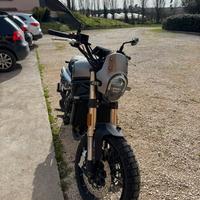 Leincino 800 trial