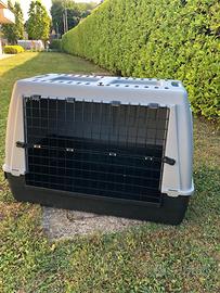 gabbia per trasporto  in auto cane  robusta Trixie