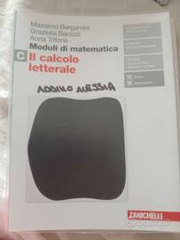 Libro  il calcolo letterale C