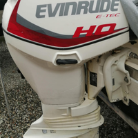 40 70 Evinrude HO