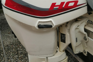 40 70 Evinrude HO