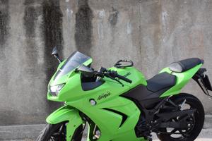 Kawasaki Ninja 250R