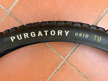 Specialized Purgatory T9 29x2,4