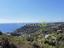 Immagine 7