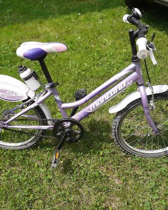 Bicicletta Montana