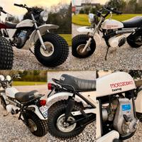 MOTOZODIACO Tuareg 250