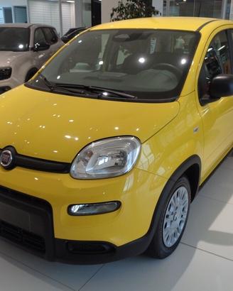 FIAT PANDINA 1.0 Hybrid ( PROMOZIONE FINO AL 27/08
