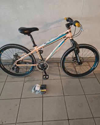 bicicletta ragazzini/bambini ruote da 24 e 20.