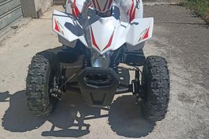 Mini quad 50cc.