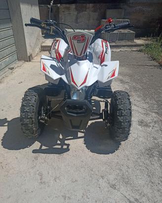 Mini quad 50cc.