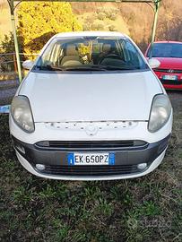 fiat punto evo