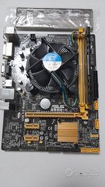 Scheda madre Asus B85M-K