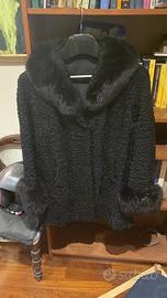 Pelliccia di breshvans