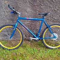 BICI MTB